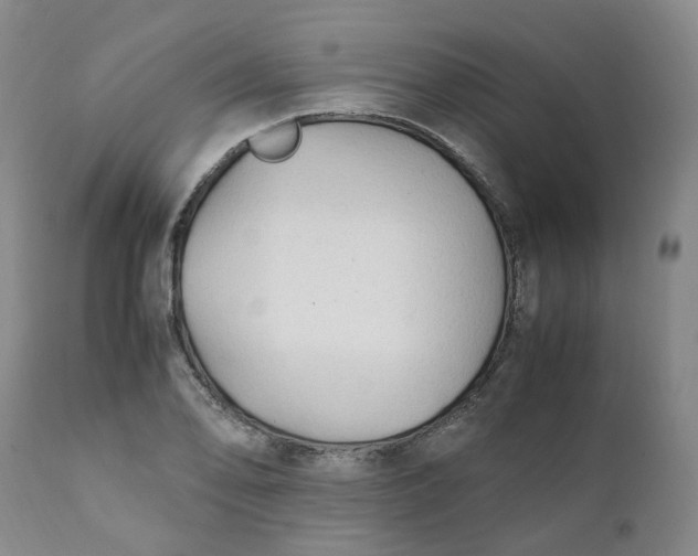 X0000111251078200907161400