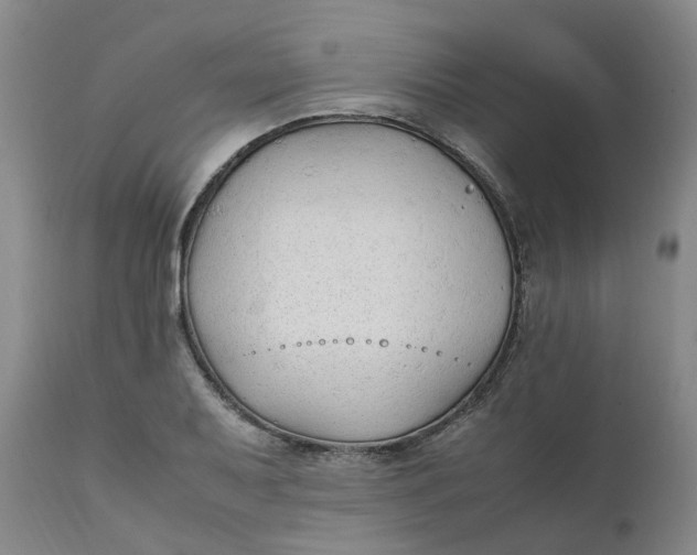 X0000111251079200907161400