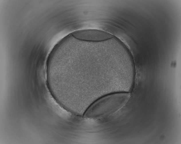 X0000111251080200907161400