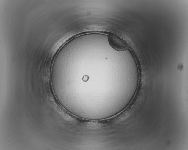 X0000111251081200907161400