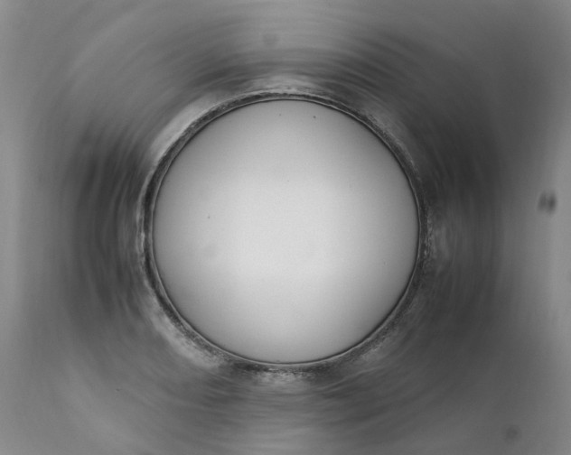 X0000111251082200907161400