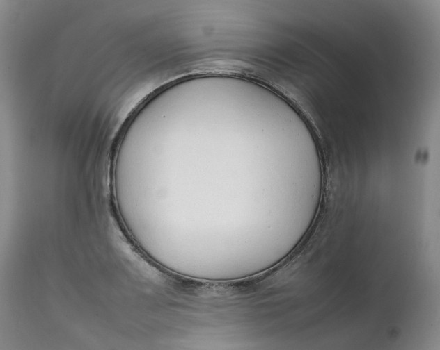 X0000111251083200907161400