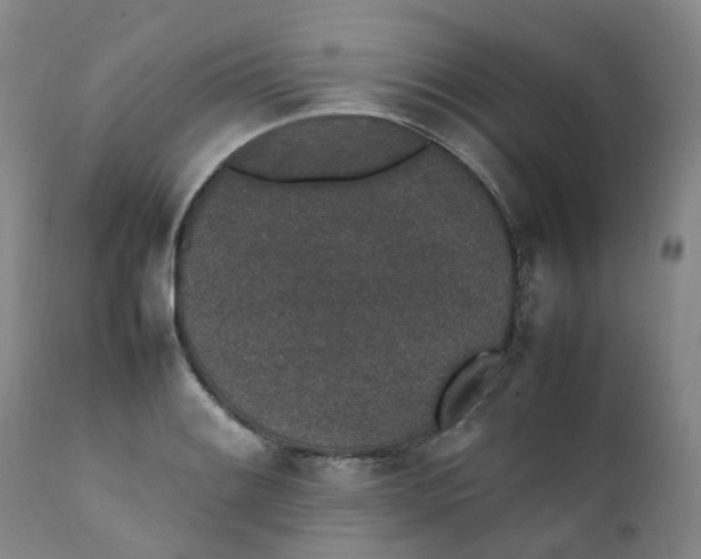 X0000111251084200907161400