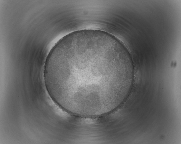 X0000111251086200907161400