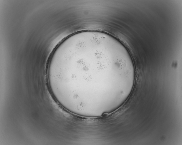 X0000111251087200907161400