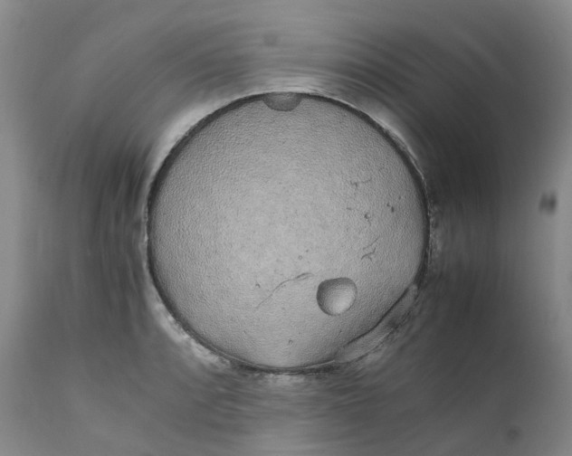 X0000111251088200907161400