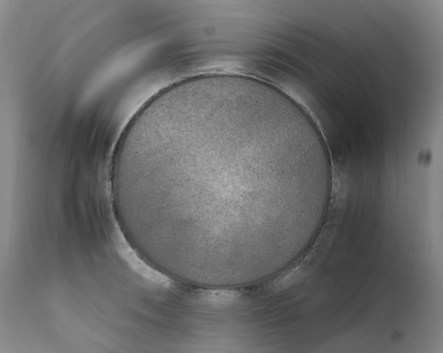 X0000111251090200907161400