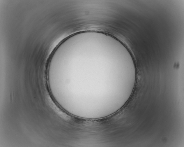 X0000111251091200907161400