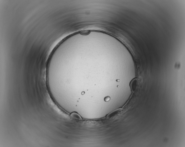 X0000111251092200907161400