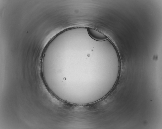 X0000111251093200907161400