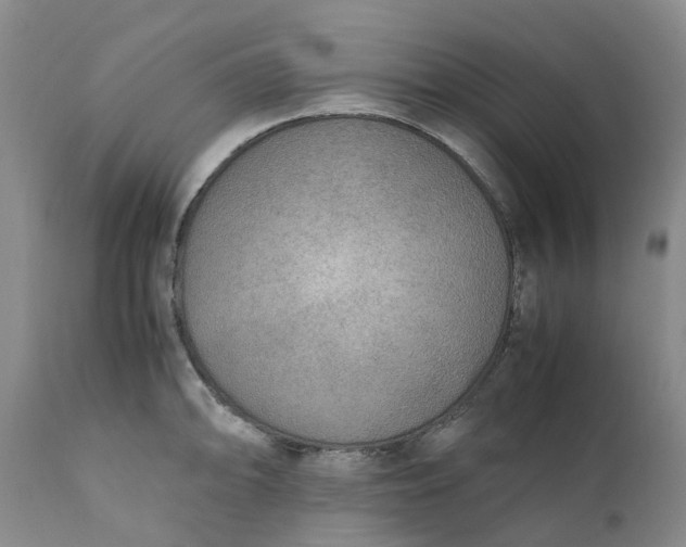 X0000111251094200907161400