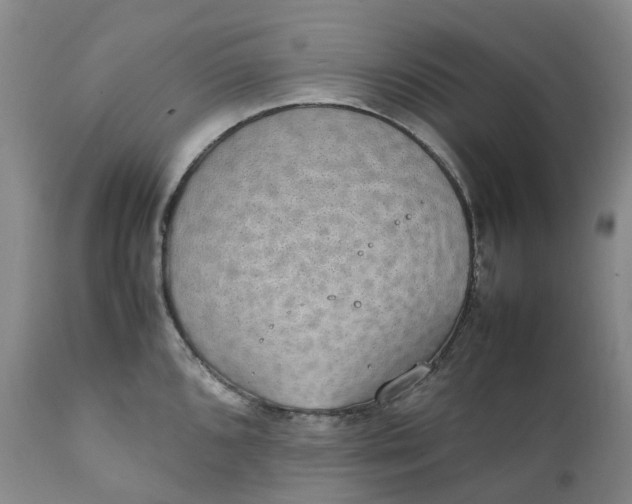 X0000111251096200907161400