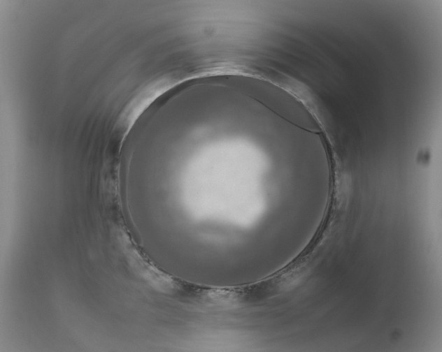 X0000111251097200907161400