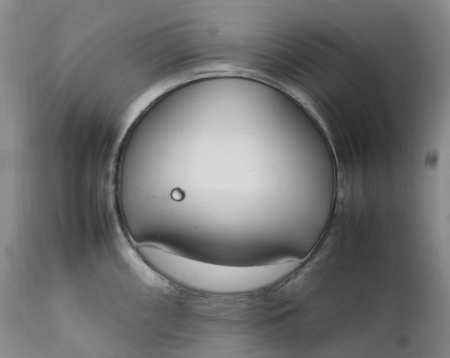 X0000111251098200907161400