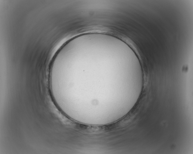 X0000111251099200907161400