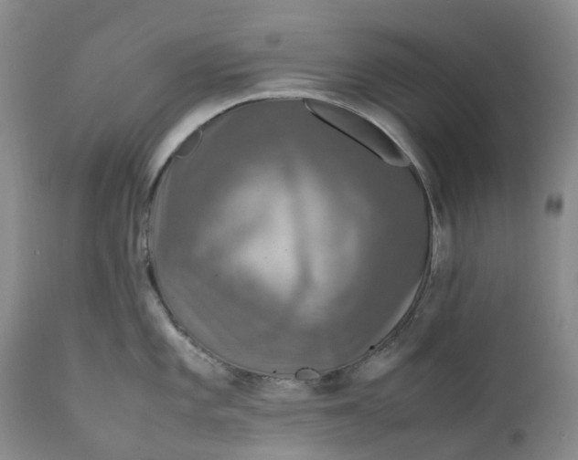 X0000111251101200907161400