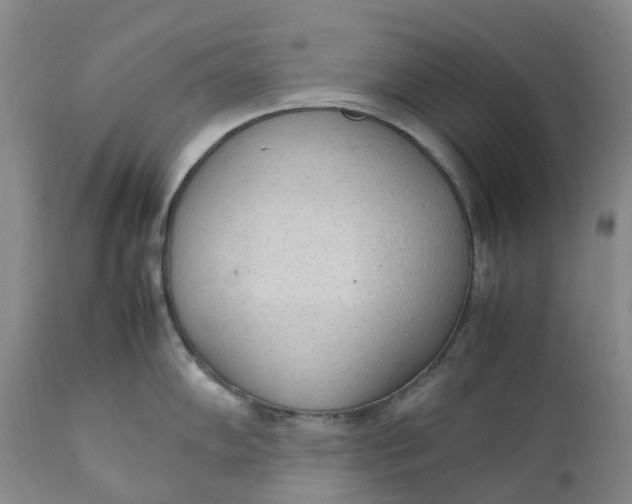 X0000111251102200907161400