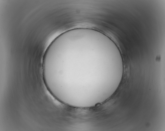 X0000111251103200907161400