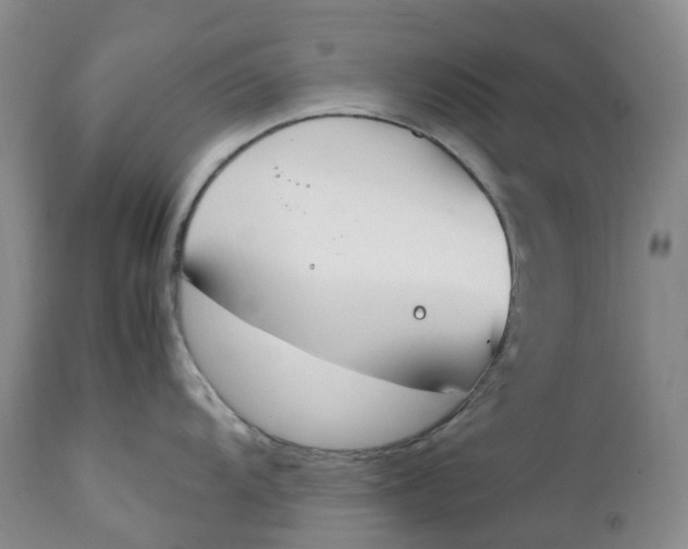 X0000111251104200907161400