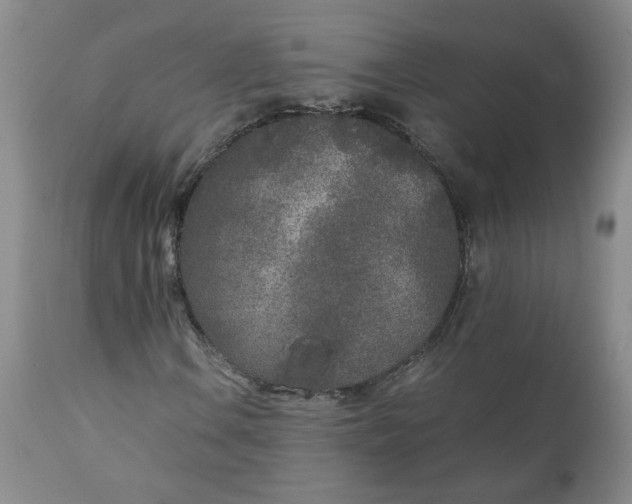 X0000111251106200907161359