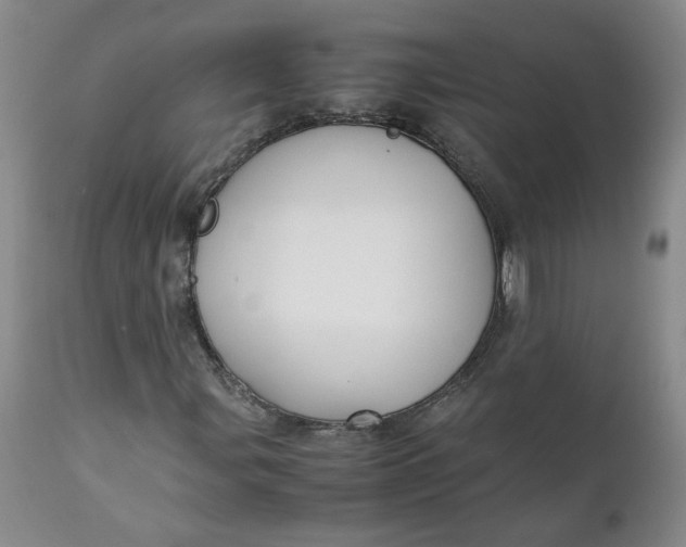 X0000111251107200907161359