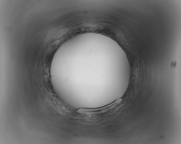 X0000111251109200907161359