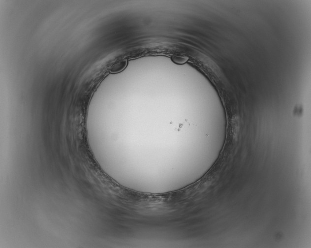 X0000111251111200907161359