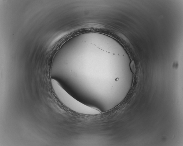 X0000111251112200907161359