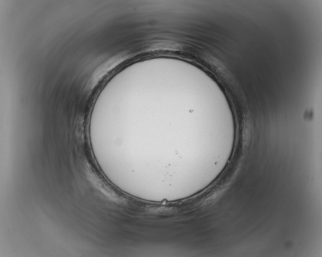 X0000111251113200907161359