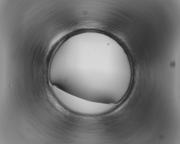 X0000111251114200907161359