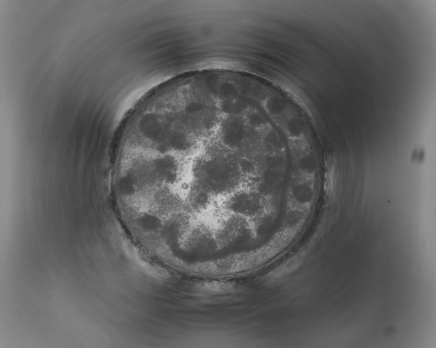 X0000111251117200907161359