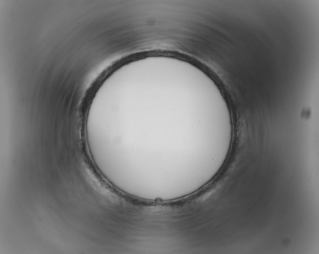 X0000111251118200907161359