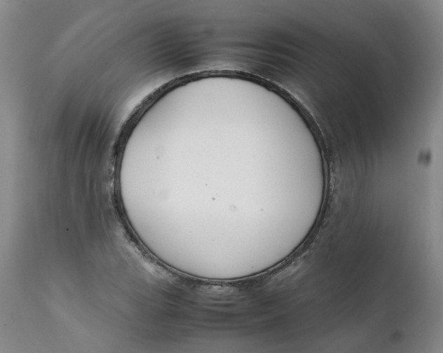 X0000111251119200907161359