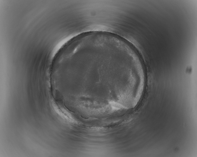 X0000111251120200907161359