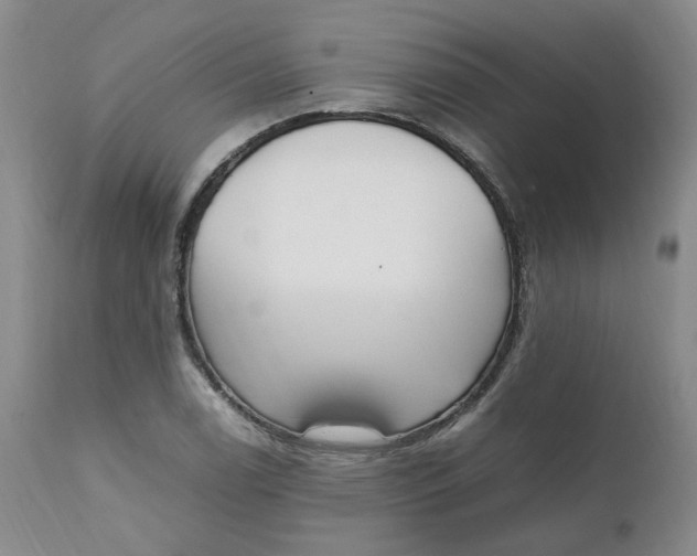 X0000111251122200907161359