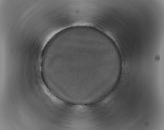 X0000111251124200907161359