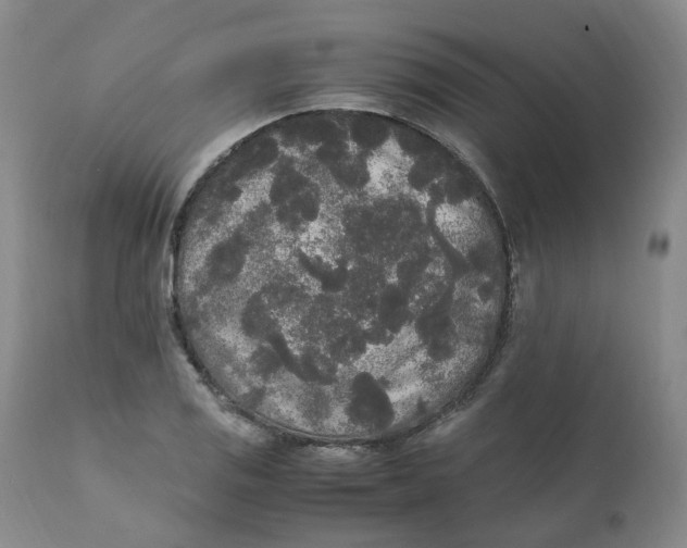 X0000111251125200907161359