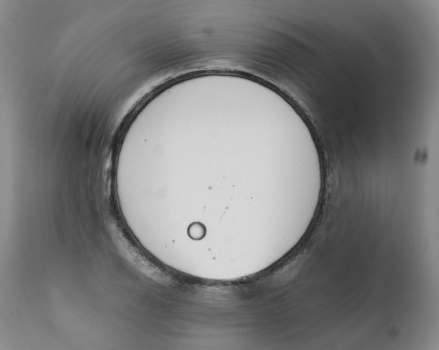 X0000111251126200907161359