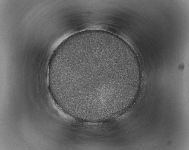 X0000111251127200907161400