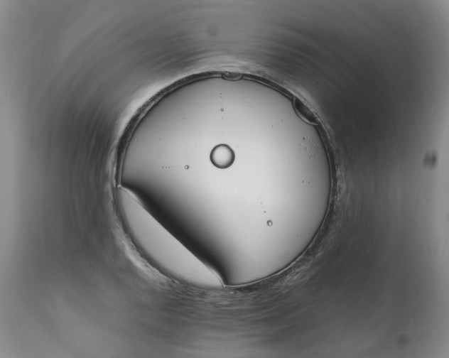 X0000111251128200907161400