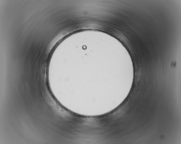 X0000111251130200907161400