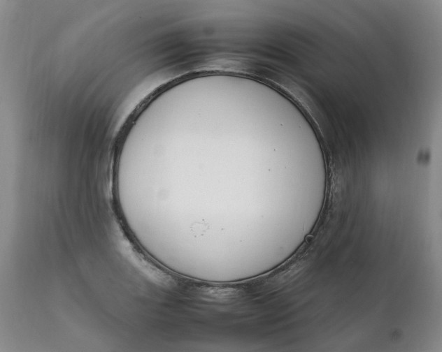 X0000111251131200907161400