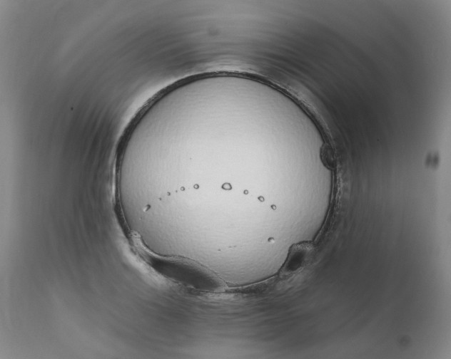 X0000111251132200907161400