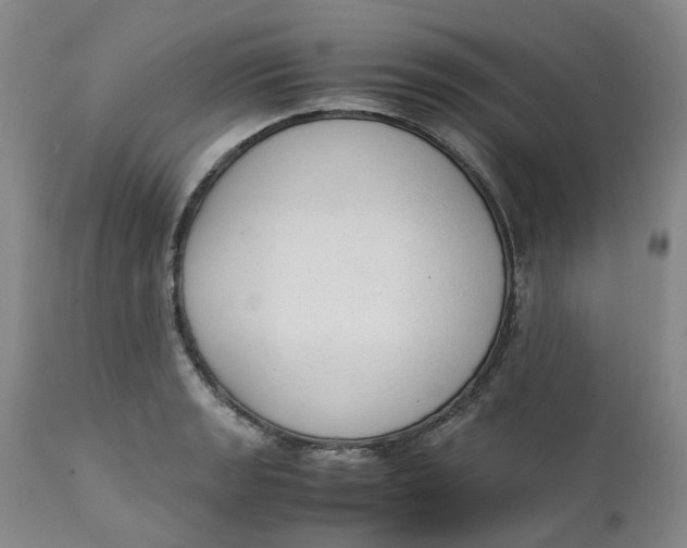 X0000111251133200907161400