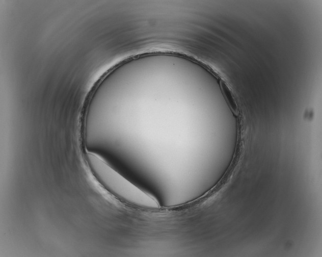 X0000111251134200907161400