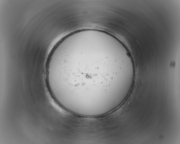 X0000111251136200907161400