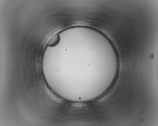 X0000111251137200907161400