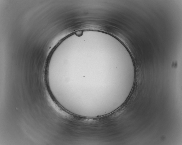 X0000111251139200907161400