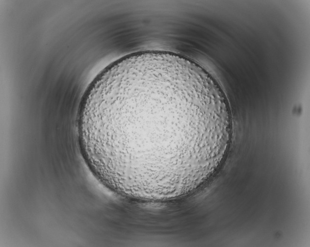 X0000111251141200907161400