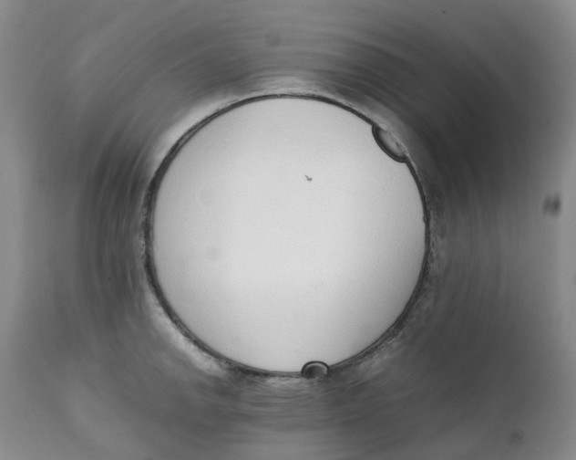 X0000111251142200907161400